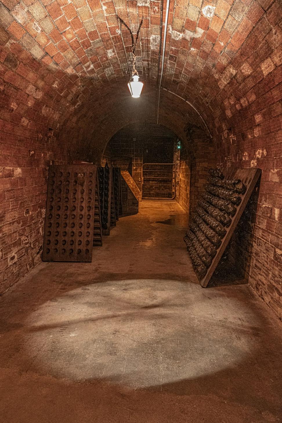 Wine Cellar